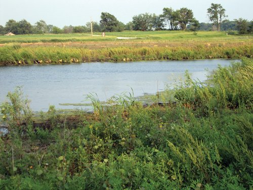 Property photo 9 - 114+/- Acres Offered in 4 Tracts